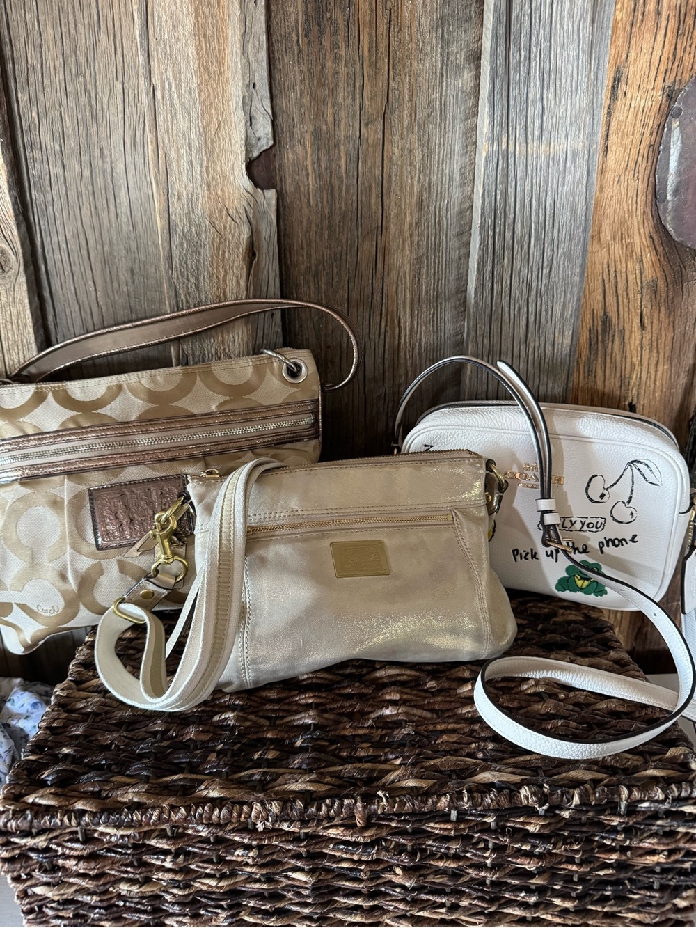 Coach Re-Seller Bundle